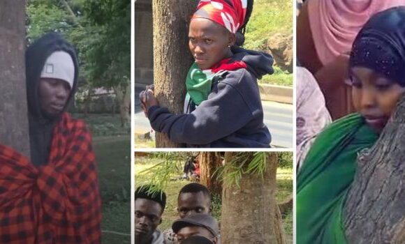 Tree-Hugging challenge