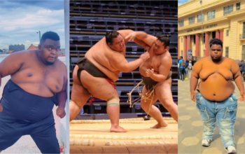 Sumo