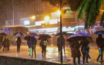 rain