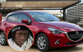 Demio