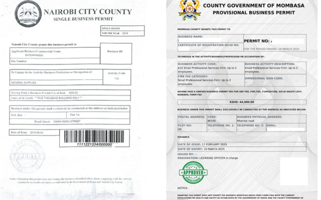 Kenya County Services: Land Rates and Business Permits