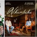 Diamond Platnumz and Joel Lwaga, collaborators on Nikumbuke