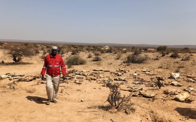 IGAD urges hunger prevention as 40.3 million face acute food insecurity