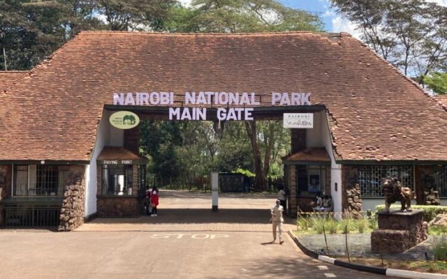 KWS Student Park Fees 2026: New Rates for School Trips