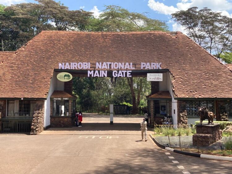 KWS Student Park Fees 2026: New Rates for School Trips