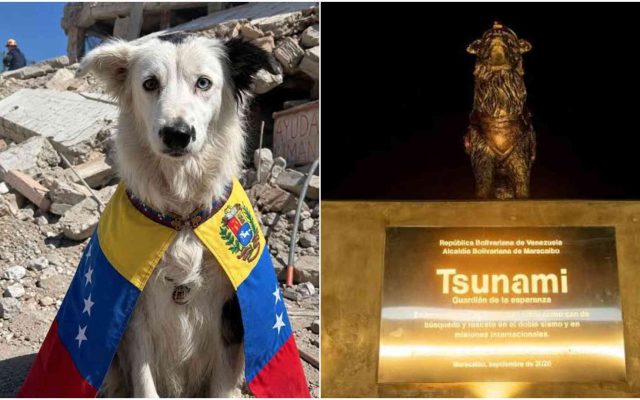 Venezuela honours retired rescue dog Tsunami with bronze statue