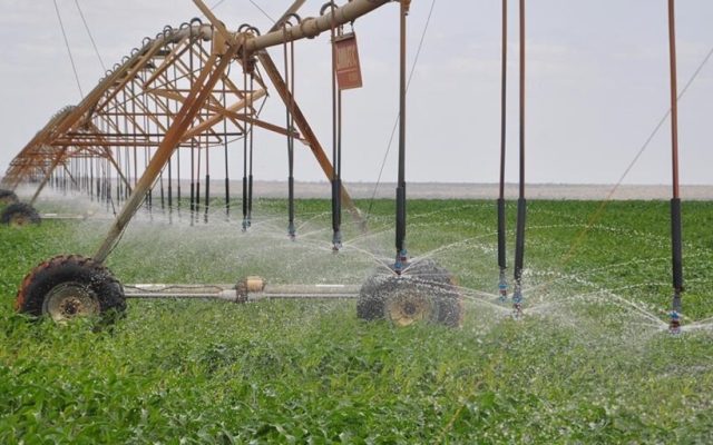 Africa urged to increase food security funding as climate risks grow