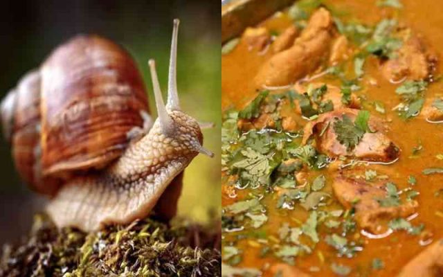 Curry poisoning case: Australian woman charged over co-worker’s food