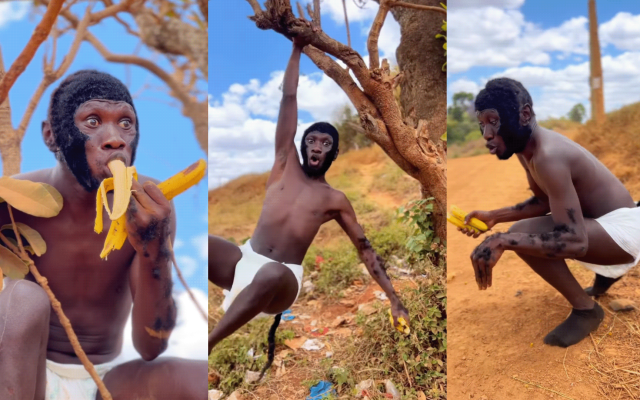 Stevo Simple Boy’s Monkey Skit Sparks Reactions
