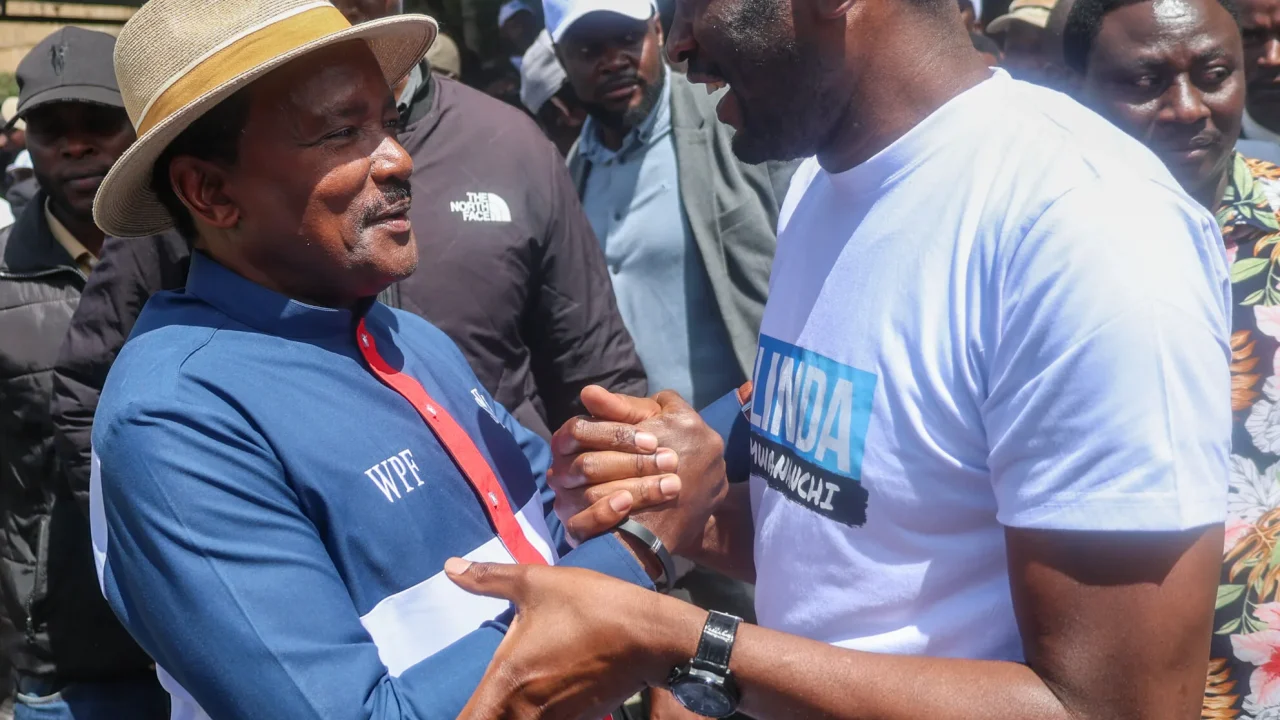 Wiper Party leader Kalonzo Musyoka