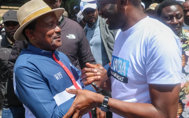 Kalonzo calls for opposition unity after boos at Sifuna secretariat launch