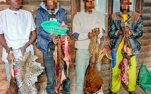 Four arrested in Laikipia game meat operation as police recover 38.6kg