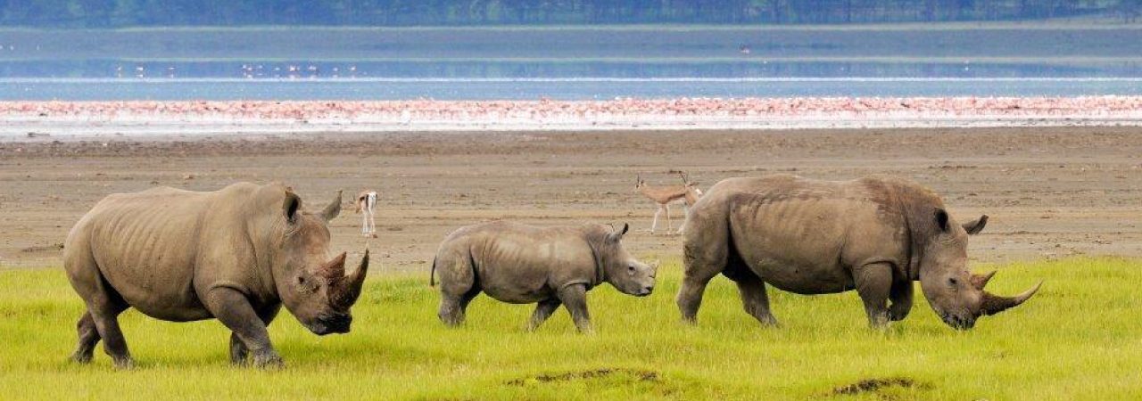 Lake Nakuru Fishing: High Court Suspends Joho’s Directive