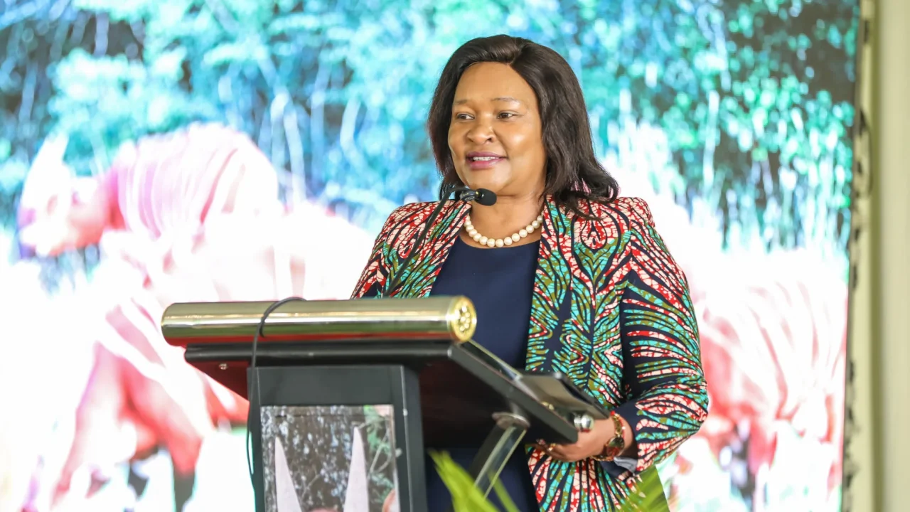 Mount Kenya tourism partnership