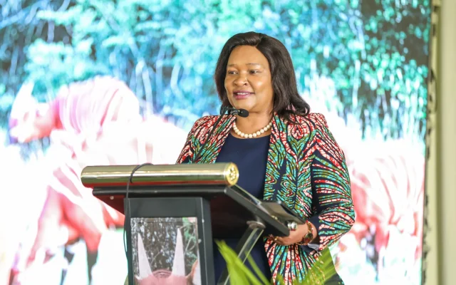 Mount Kenya tourism: Ministry and Centum target KSh129 million for upgrades