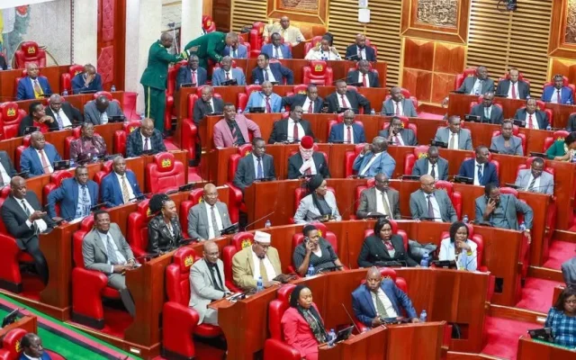 MPs back NYS graduate recruitment plan for security jobs