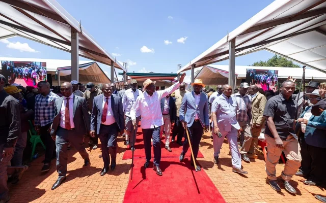 Ruto Puts Food Security at Centre of Push to Lower Farming Costs